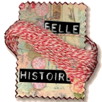 Een verzameling verhalen die het leven gewoon een beetje mooier maken bellehistoire