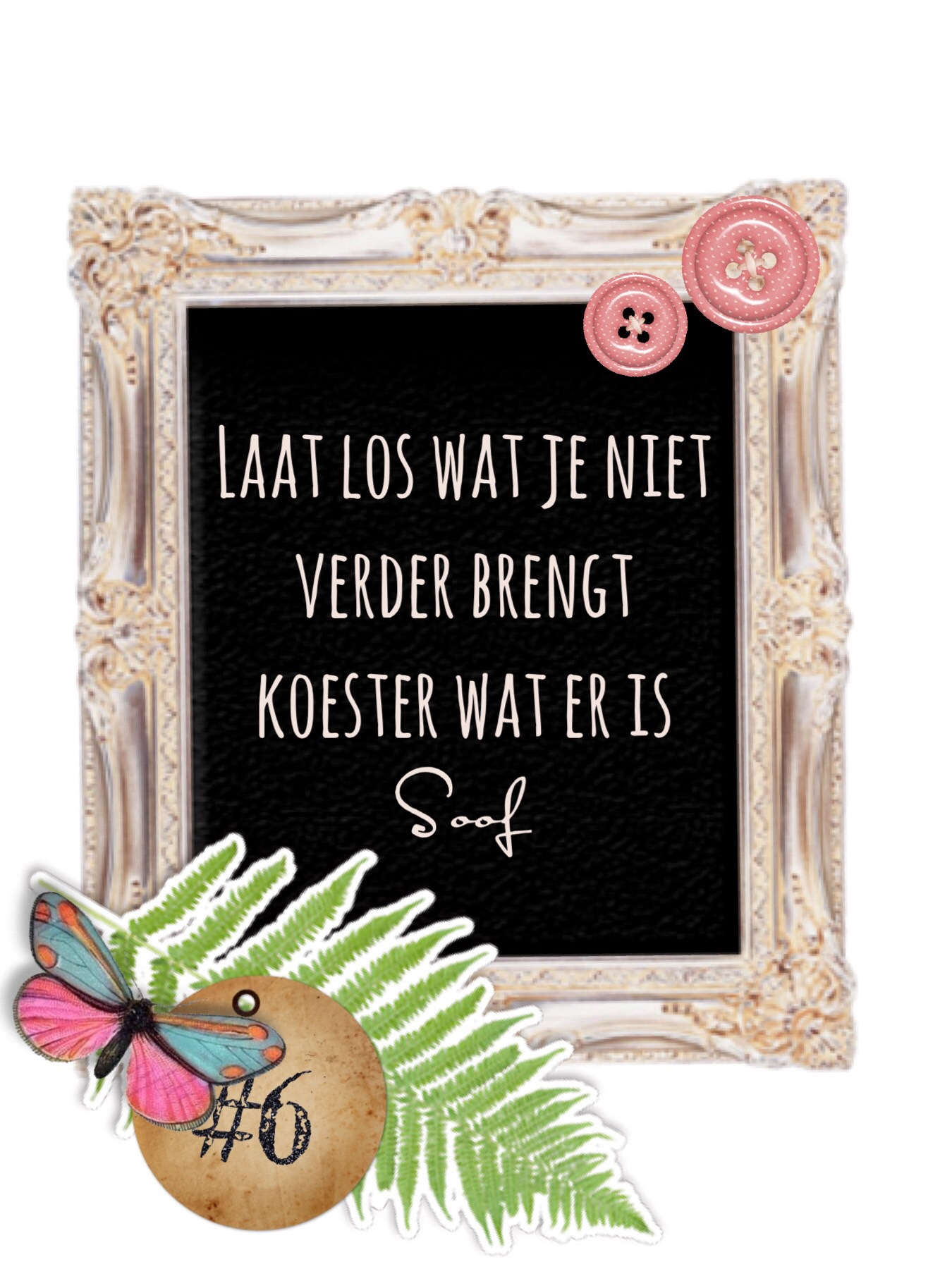 628ca8f6-9c3b-4243-a502-2c2897005c59