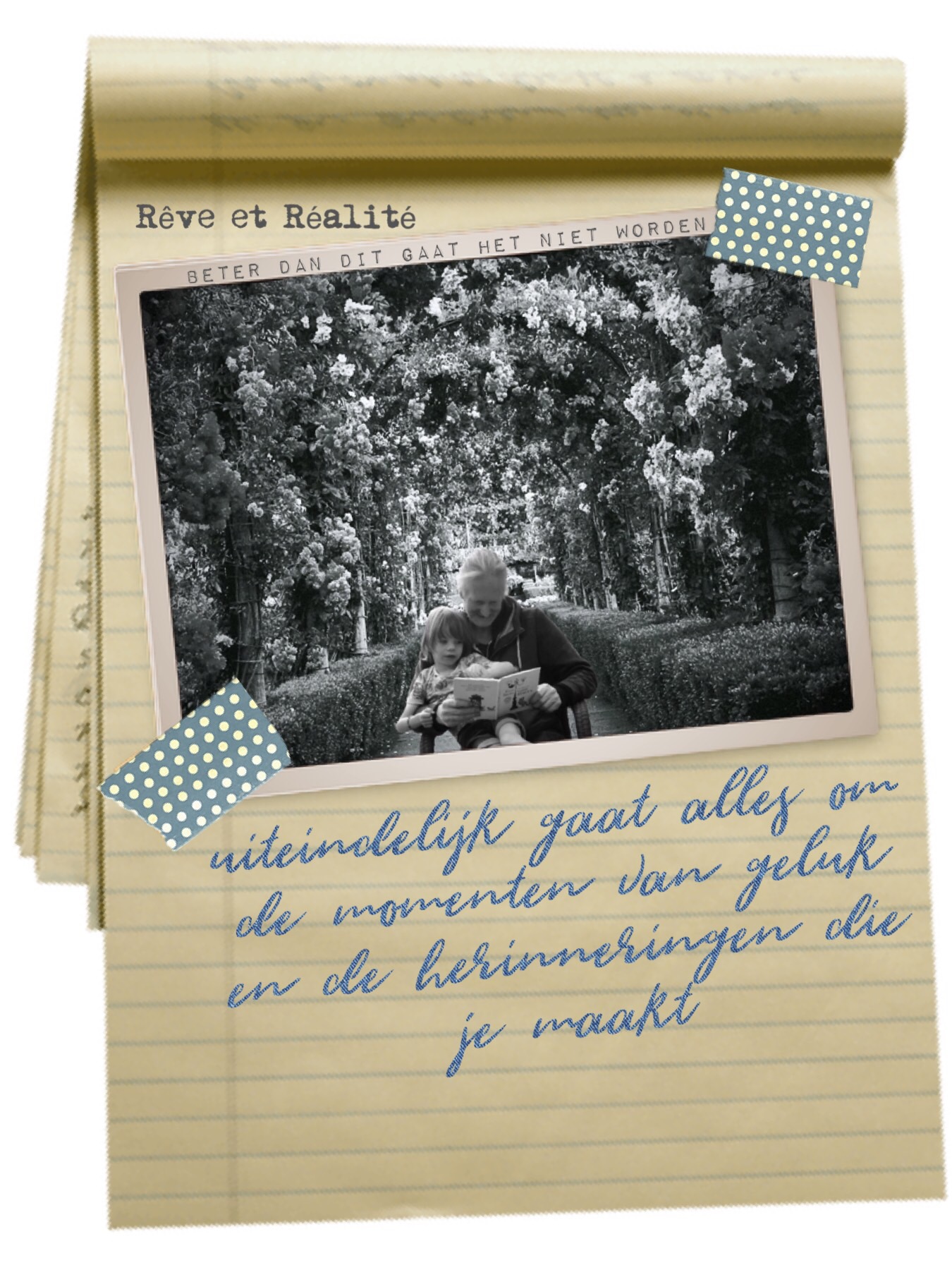 3c358908-928a-44c3-8d6d-eb574dc318be