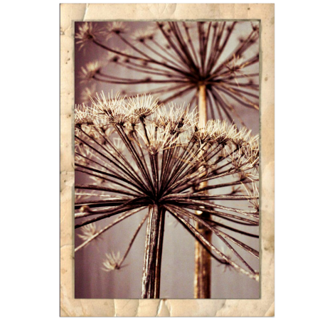 b55ab528-744d-4d51-b452-e82c625be3e5